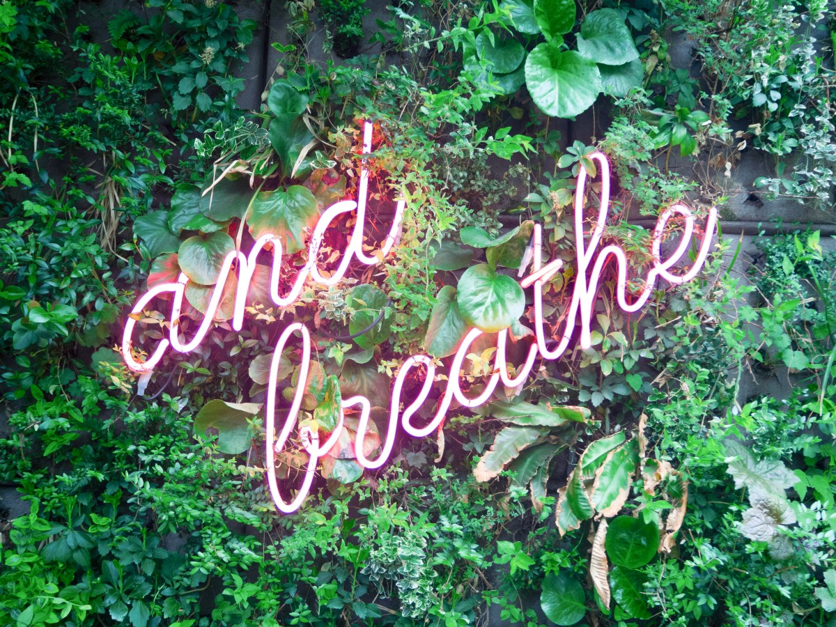 Why I Incorporated Acupuncture into My Wellness&nbsp;Routine