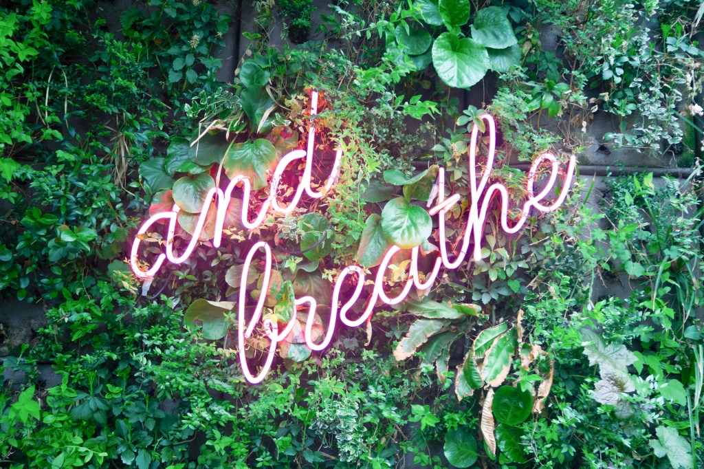 Why I Incorporated Acupuncture into My Wellness Routine